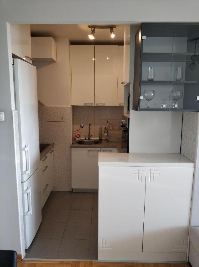 Ferienwohnung Alexplatz Danube View Belgrad Exterior foto